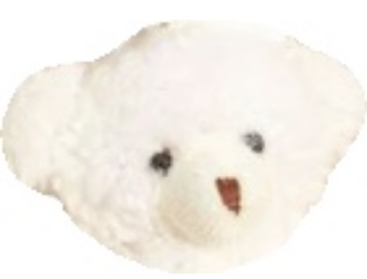 momonga